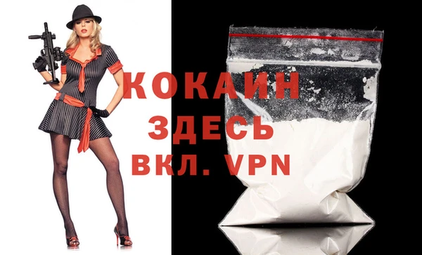 индика Волосово