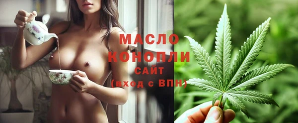 индика Волосово