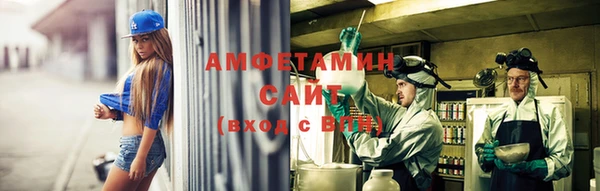 индика Волосово