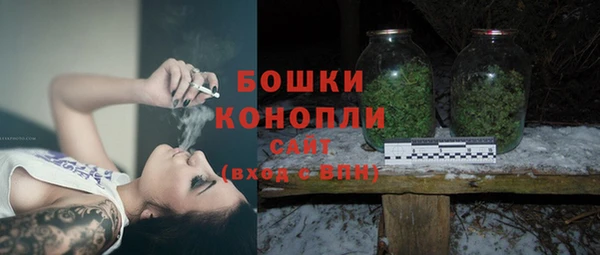 индика Волосово