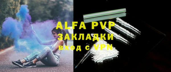 индика Волосово