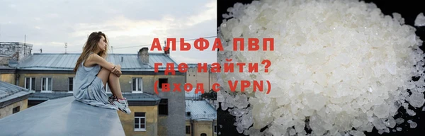 индика Волосово
