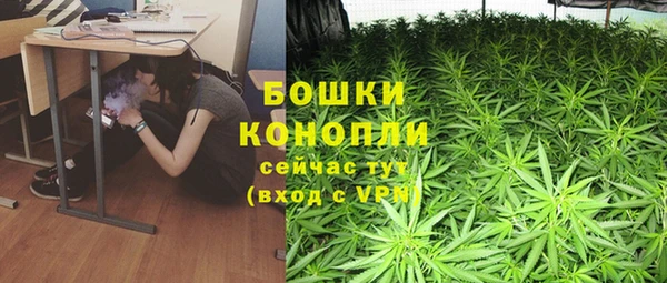твердый Володарск