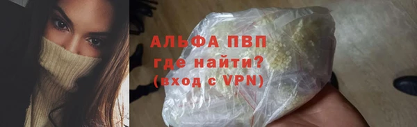 индика Волосово