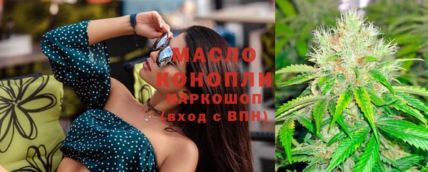 индика Волосово
