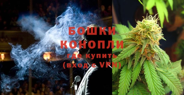 индика Волосово
