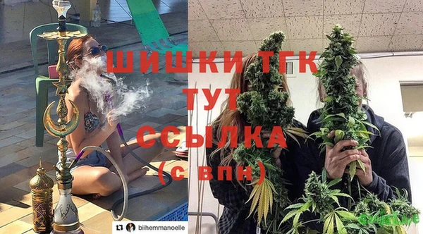 твердый Володарск