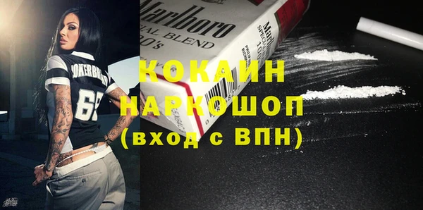 индика Волосово