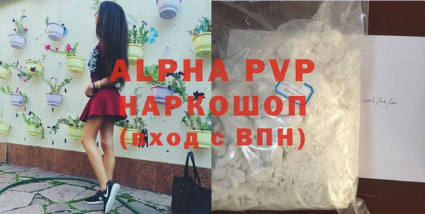 индика Волосово