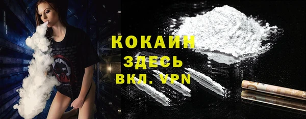 твердый Володарск