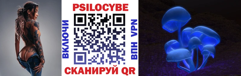 Псилоцибиновые грибы Psilocybe Новоржев